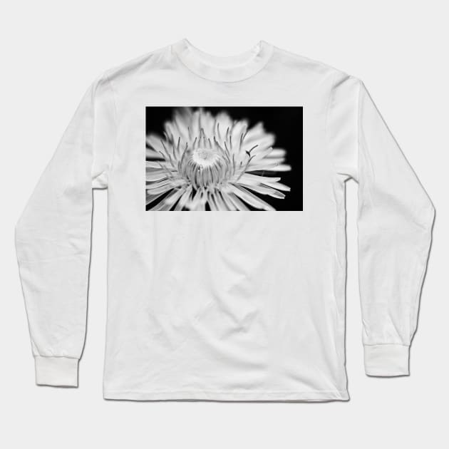 reach Long Sleeve T-Shirt by blumwurks